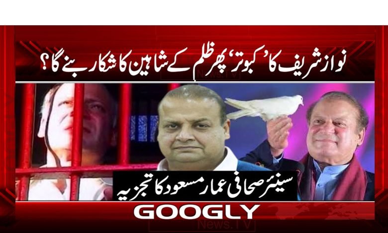 نواز شریف کا ’کبوتر ‘پھر ظلم کے شاہین کا شکار بنے گا؟ 1 Nawaz Sharif Breaking News Urdu