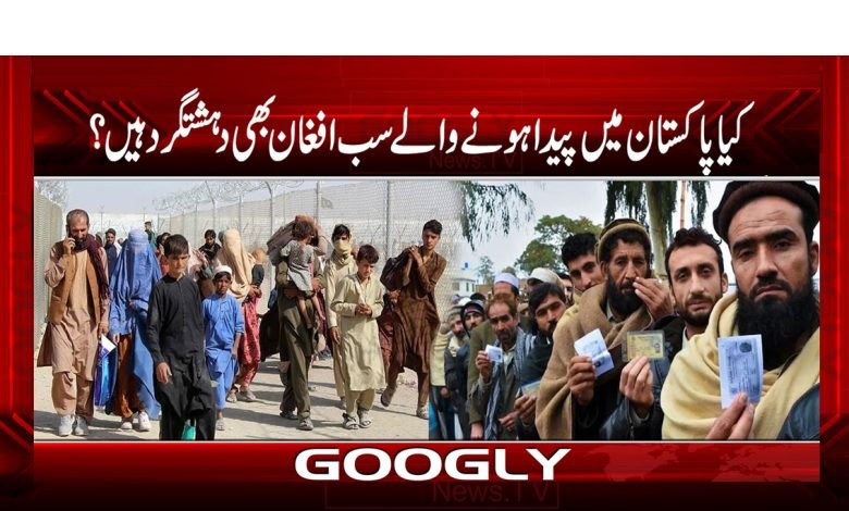 کیا پاکستان میں پیدا ہونے والے سب افغان بھی دہشتگرد ہیں؟ 1 Terorist