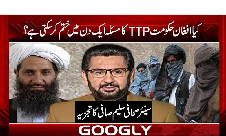 کیا افغان حکومت ٹی ٹی پی کا مسئلہ ایک دن میں ختم کر سکتی ہے؟ 1 afgan 14