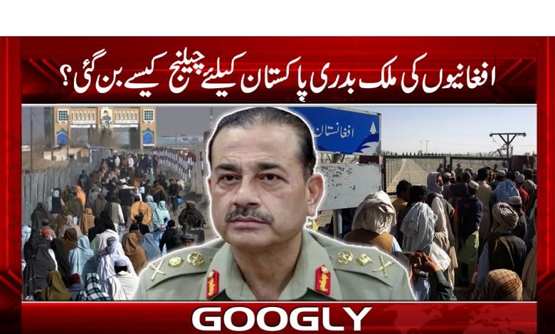 افغانیوں کی ملک بدری پاکستان کیلئےچیلنج کیسے بن گئی؟ 1 afgan 8