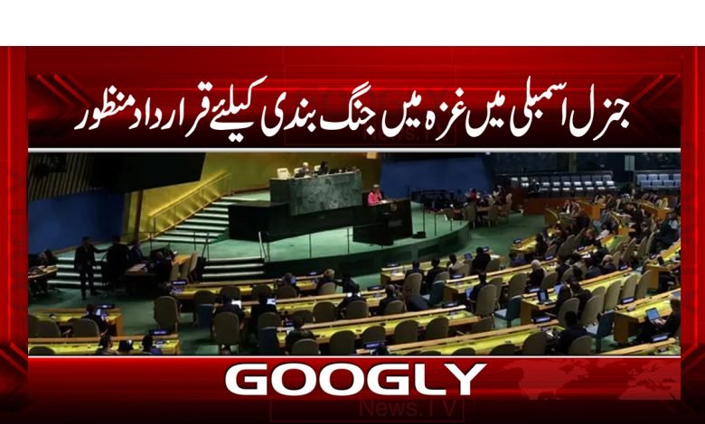 جنرل اسمبلی میں غزہ میں جنگ بندی کیلئے قراردادمنظور 1 assmby