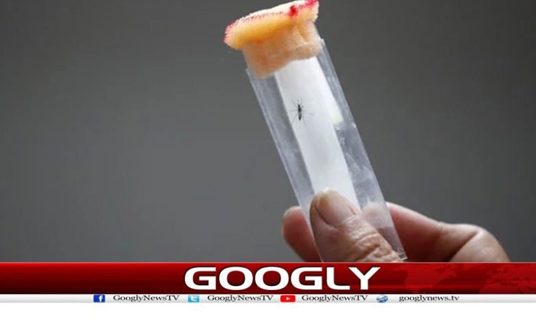 Successful Trial Treat Dengue News