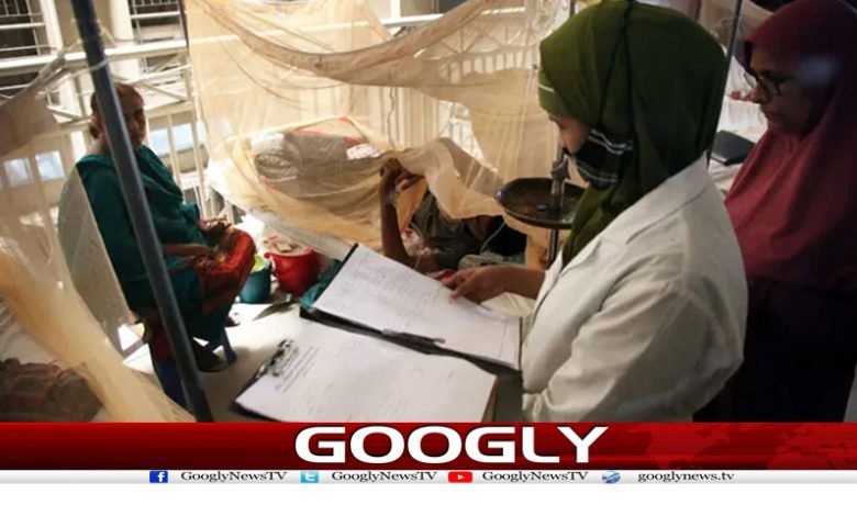 بنگلہ دیش میں ڈینگی بے قابو،ہلاکتوں کی تعداد 1ہزار سے تجاوز 1 dengi