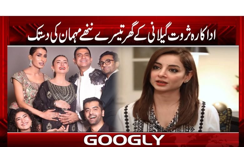 Sarwat Geelani Latest News in Urdu