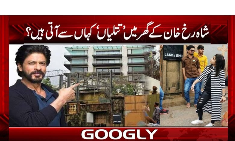 کیا شاہ رخ خان کے گھر میں چھپکلیاں آتی ہیں؟ 1 khan