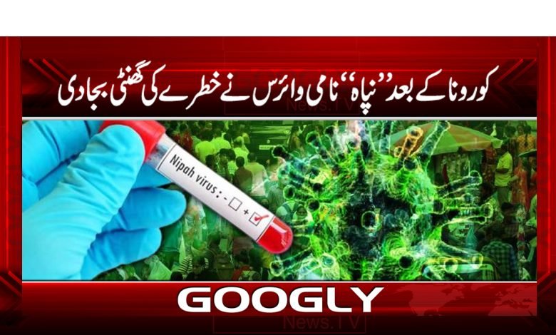 کورونا کے بعد ”نپاہ“نامی وائرس نے خطرے کی گھنٹی بجادی 1 nipha 1