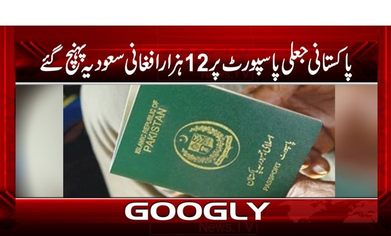 پاکستانی جعلی پاسپورٹ پر 12ہزار افغانی سعودی عرب پہنچ گئے 1 pasport 1