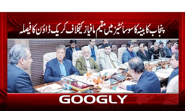 Punjab Cabinet Decision News Urdu