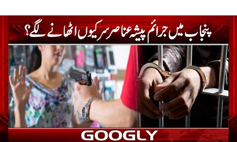 پنجاب جرائم کا گڑھ کیسے بن گیا؟ 1 punjab 3