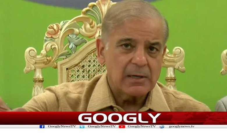 سابق وزیراعظم شہبازشریف کی فلسطینیوں پربمباری کی شدید مذمت 1 Shahbaz Sharif Sport Palestine News Urdu