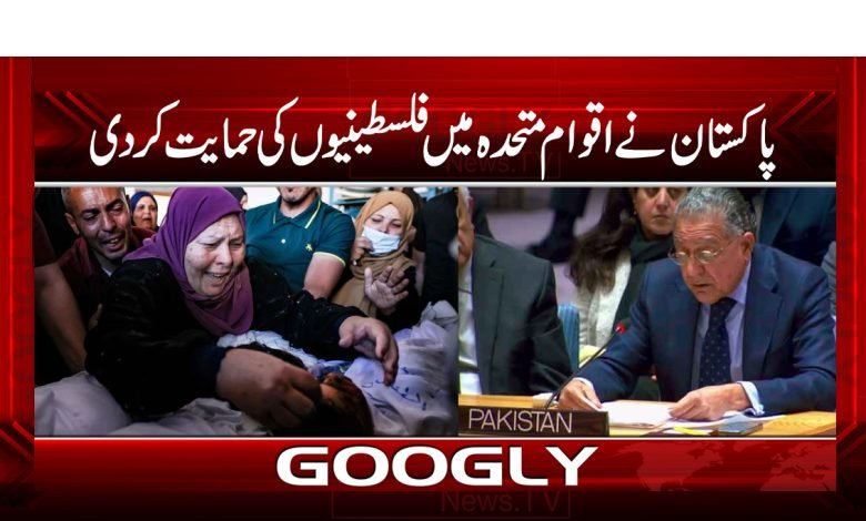 Pakistan Support Palestinians News Urdu