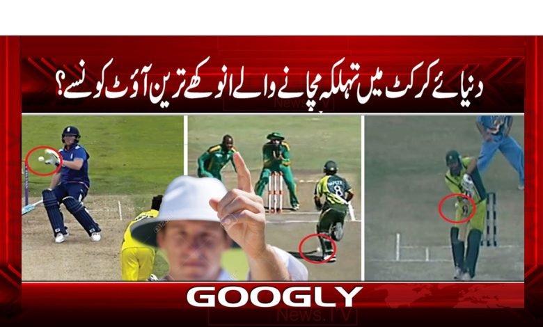 Cricket World
