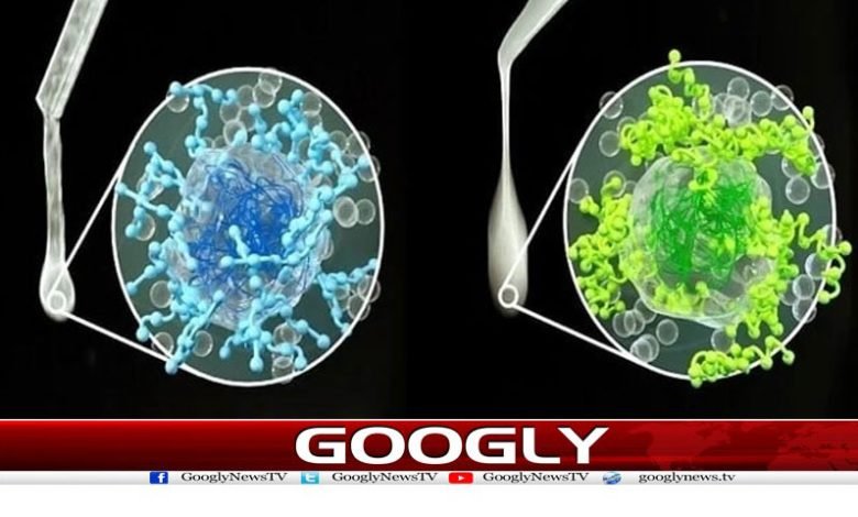 Human Saliva Was Found News Urdu