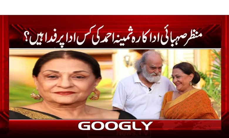 Samina Ahmed Latest News in Urdu