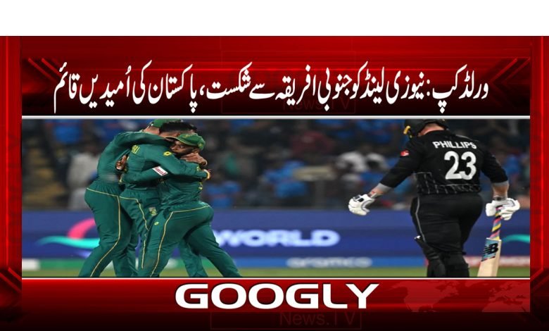 New Zealand Lost to South Africa News