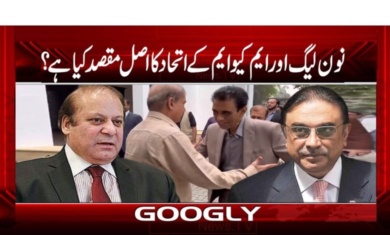 PMLN 1
