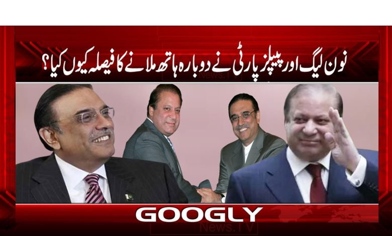 PMLN thmb