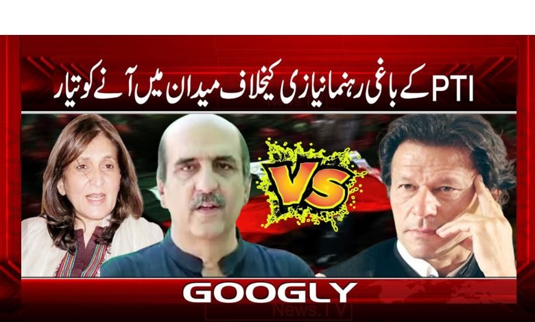 PTI Rebel Leader Niazi News Urdu