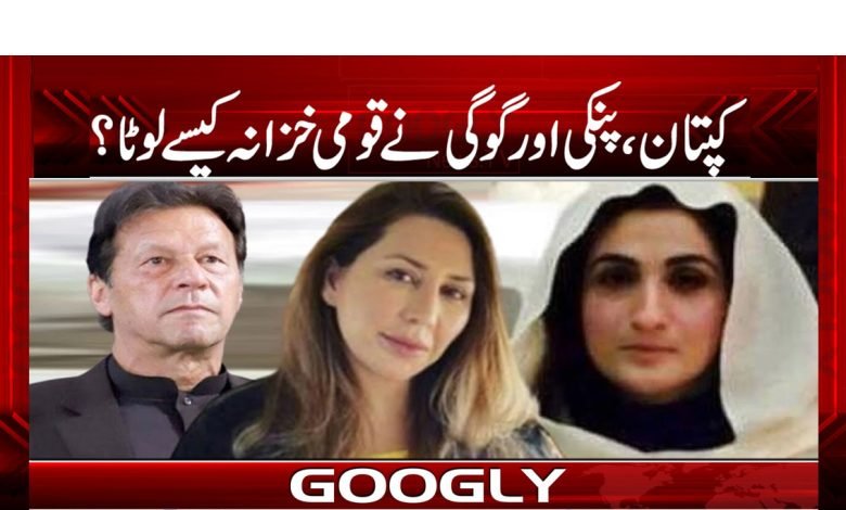 کپتان، پنکی اور گوگی نے قومی خزانہ کیسے لوٹا؟ 1 Pincy