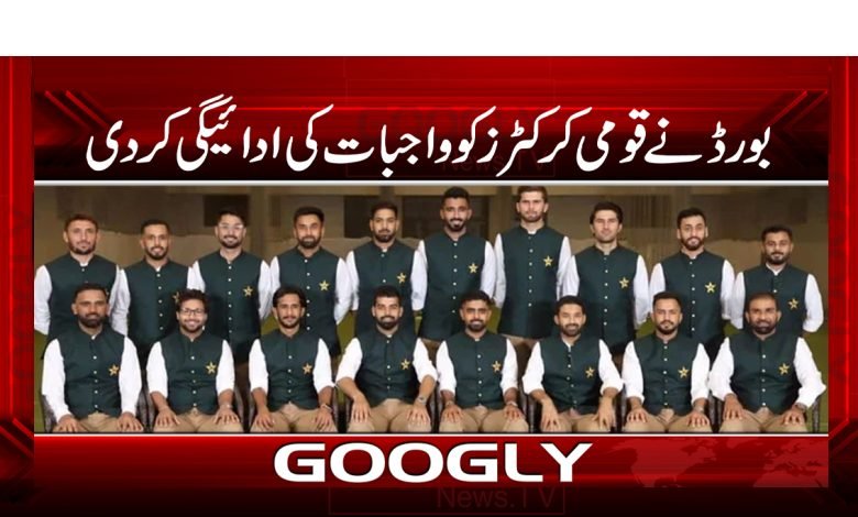 National Cricketers News in Urdu