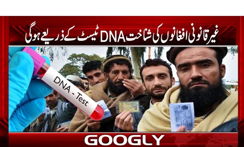 غیر قانونی افغانوں کی شناخت DNA ٹیسٹ کے ذریعے ھو گی 1 dna