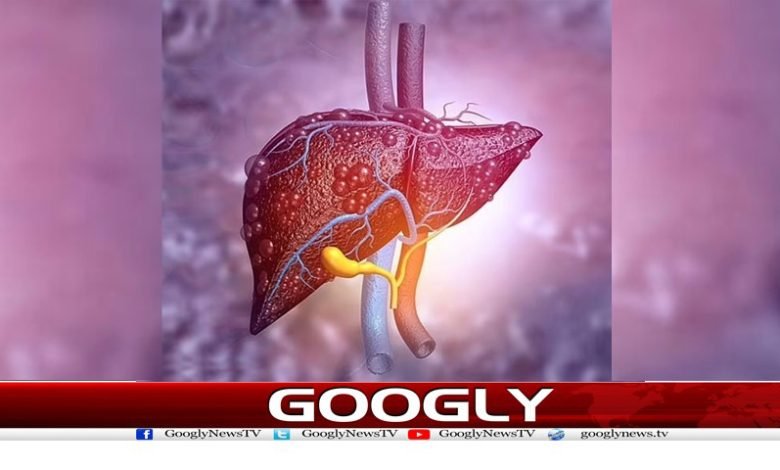 جگر کے علاج کیلئے نیاطریقہ علاج آگیا 1 Treatment of Liver News in Urdu