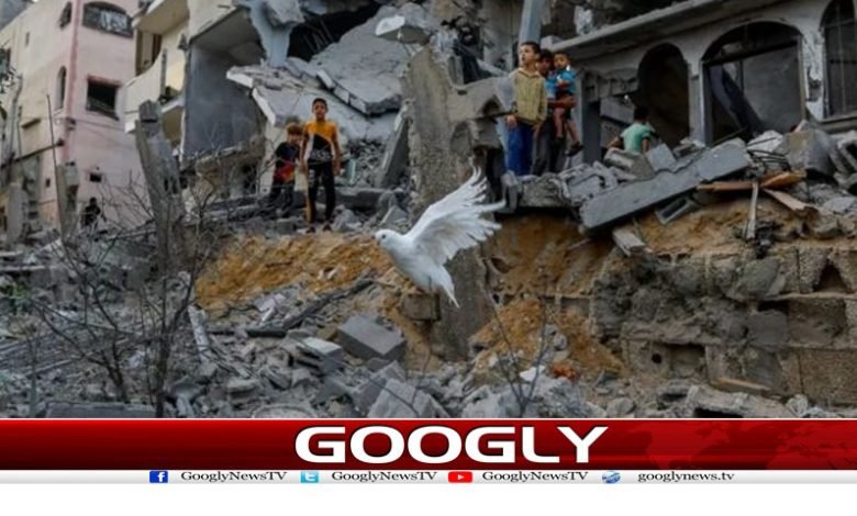 یہ جنگ نہیں مذہبی نسل کشی ہے 1 paleent