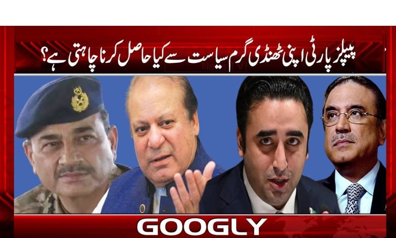 People Party Latest News in Urdu