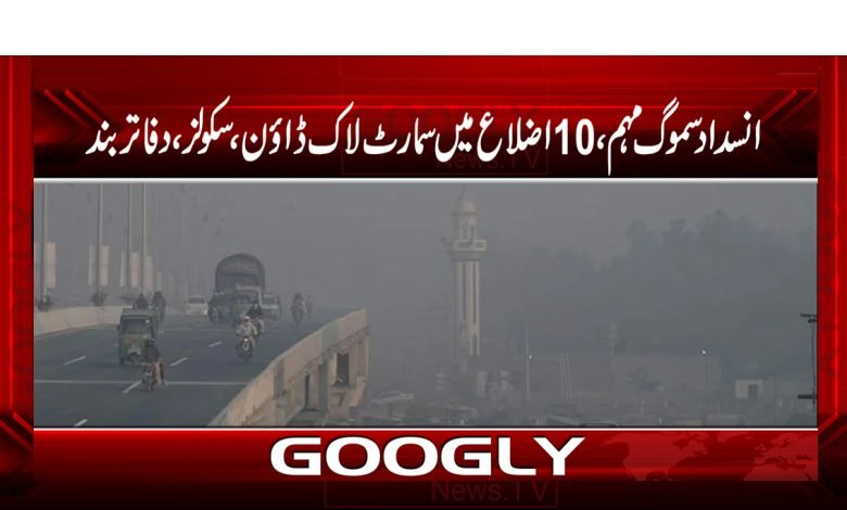 انسداد سموگ مہم،10اضلاع میں سمارٹ لاک ڈاؤن،سکولز ،دفاتربند 1 Anti Smog Campaign News Urdu