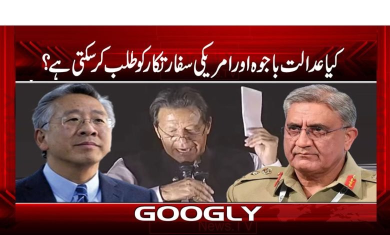 American Diplomat News in Urdu