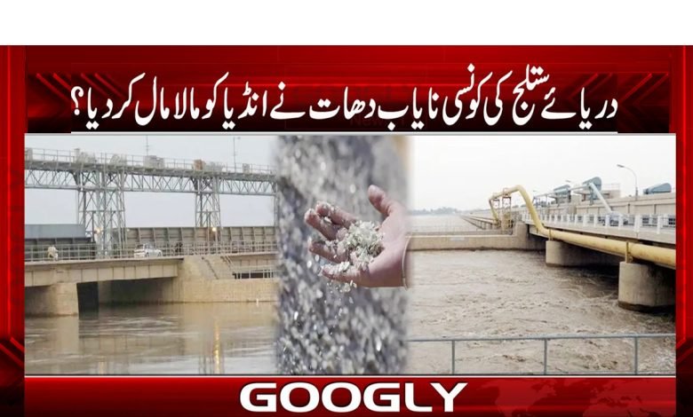 River Sutlej Enriched India News Urdu