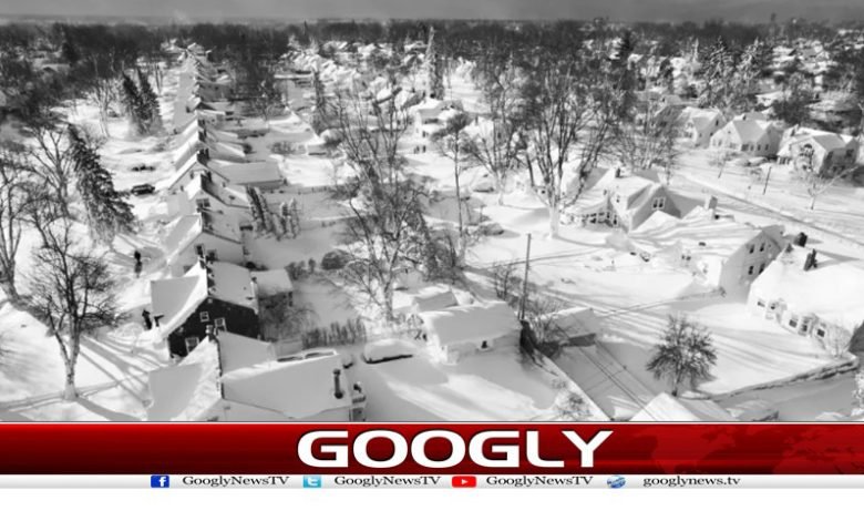 America in Accident 7 People Died News