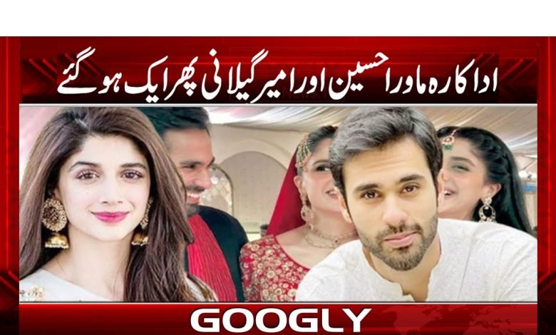 Mawra Hussain Photo Viral News Urdu