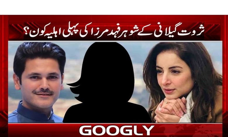 Fahad Mirza First Wife News in Urdu