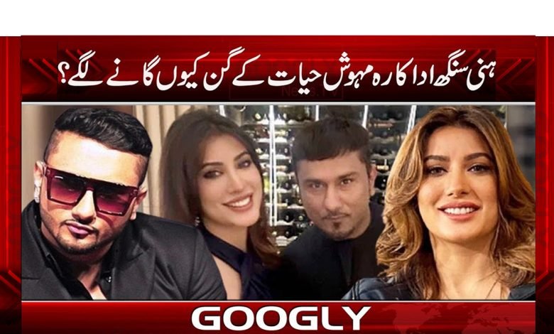 ہنی سنگھ اداکارہ مہوش حیات کے گن کیوں گانے لگے؟ 1 Mehwish Hayat Meet HoneySingh News