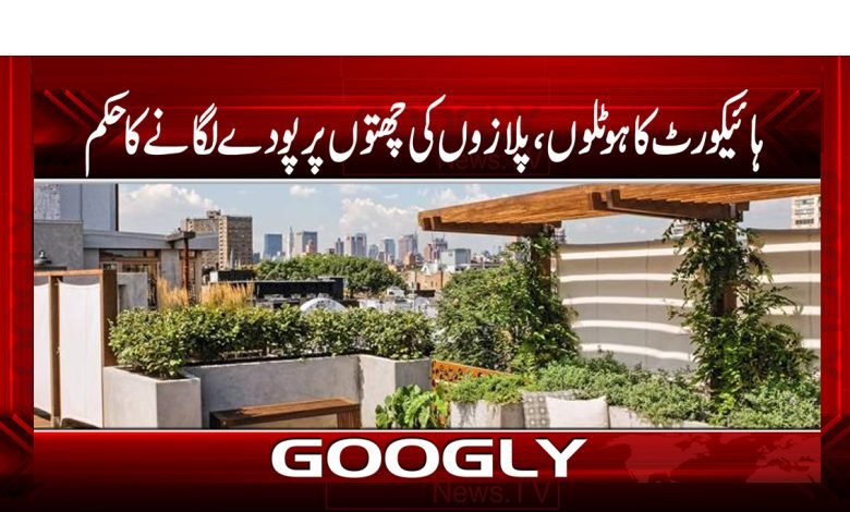 Lahore High Court Latest News Urdu