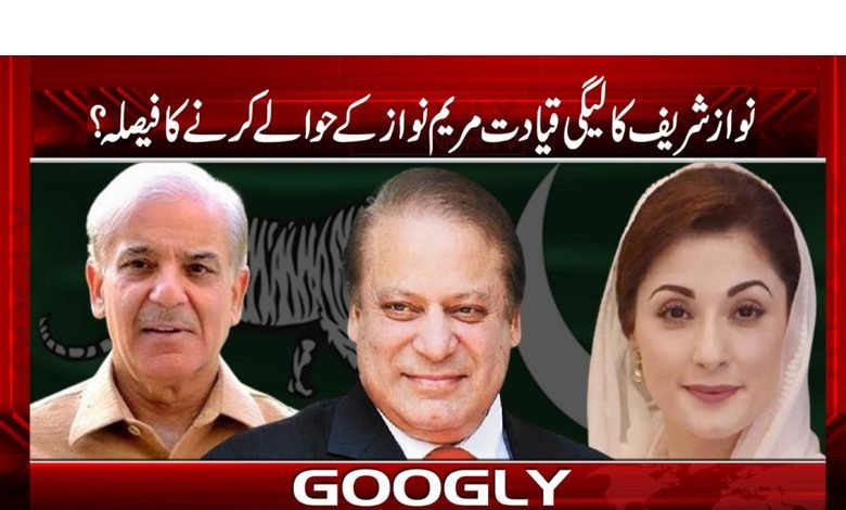 Maryam Nawaz PMLN Leadership News