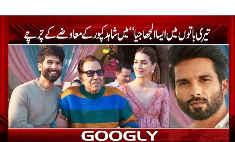 Shahid Kapoor Latest News in Urdu