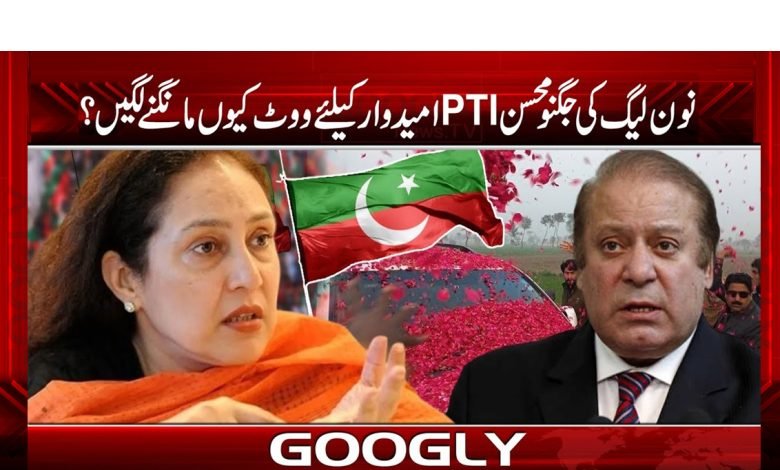 جگنو محسن نے پارٹی ورکر کو MPA کا ٹکٹ کیوں دیا؟ 1 jugnu