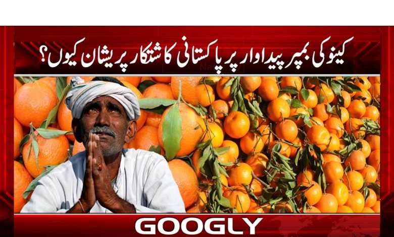 Orenge Farmers Face Huge Loss News