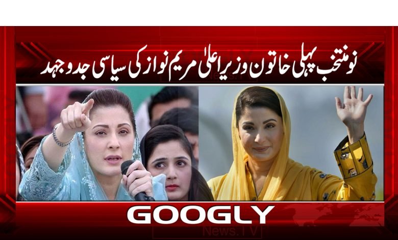 Maryam Nawaz Political Struggle News Urdu