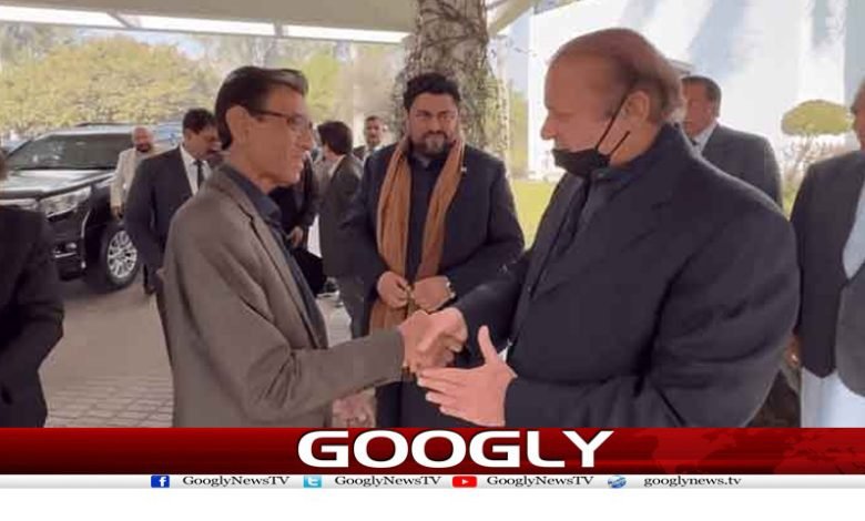 mqm 6