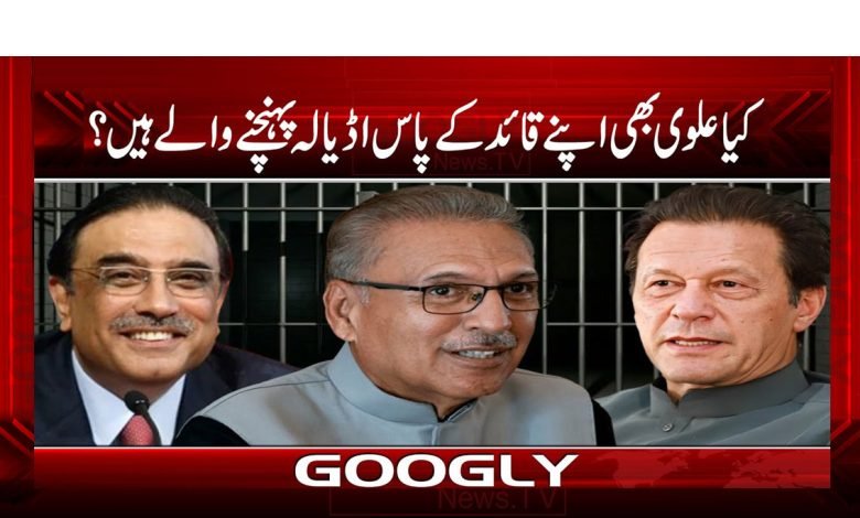 ALVI 1
