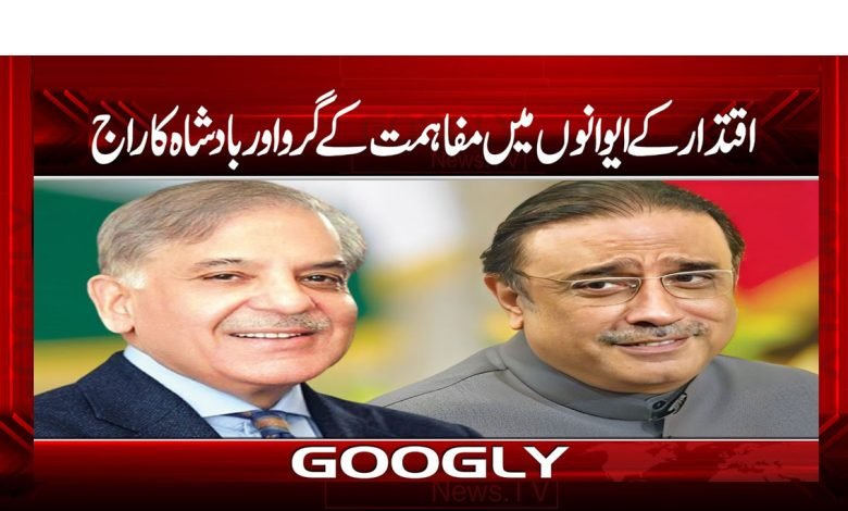 اقتدار کے ایوانوں میں مفاہمت کے گرو اور بادشاہ کا راج 1 Gurro Raaj