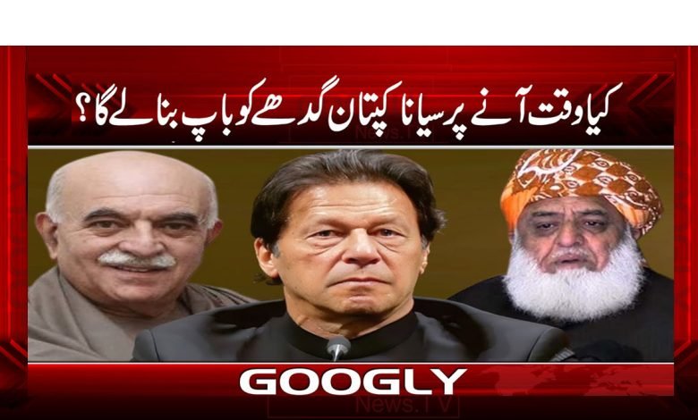 کیا وقت آنے پر سیانا کپتان گدھے کو باپ بنا لے گا؟ 1 Kaptaaan