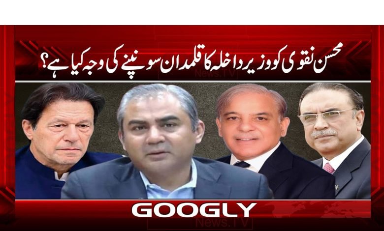 محسن نقوی کو وزیر داخلہ کا قلمدان سونپنے کی وجہ کیا ہے؟ 1 Mohsin 1