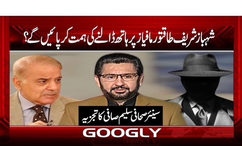 شہباز شریف طاقتور مافیاز پر ہاتھ ڈالنے کی ہمت کر پائیں گے؟ 1 Shahbaz 2