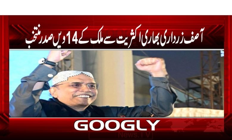 Zardaari thmb