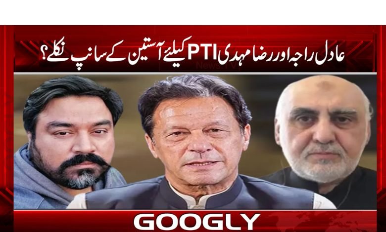 عادل راجہ اور رضا مہدی PTIکیلئے آستین کے سانپ نکلے؟ 1 adil