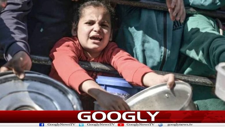 غزہ،غذائی قلت سے مزید3بچے جاں بحق،تعداد23ہو گئی 1 gaza 2